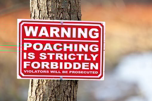 GettyImages-1214035992